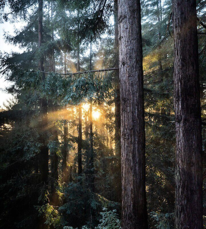 Fairfax Fire Hydrant Services Hydrant Flow Co