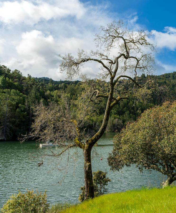 Ross Marin County Fire Hydrant Services Hydrant Flow Co