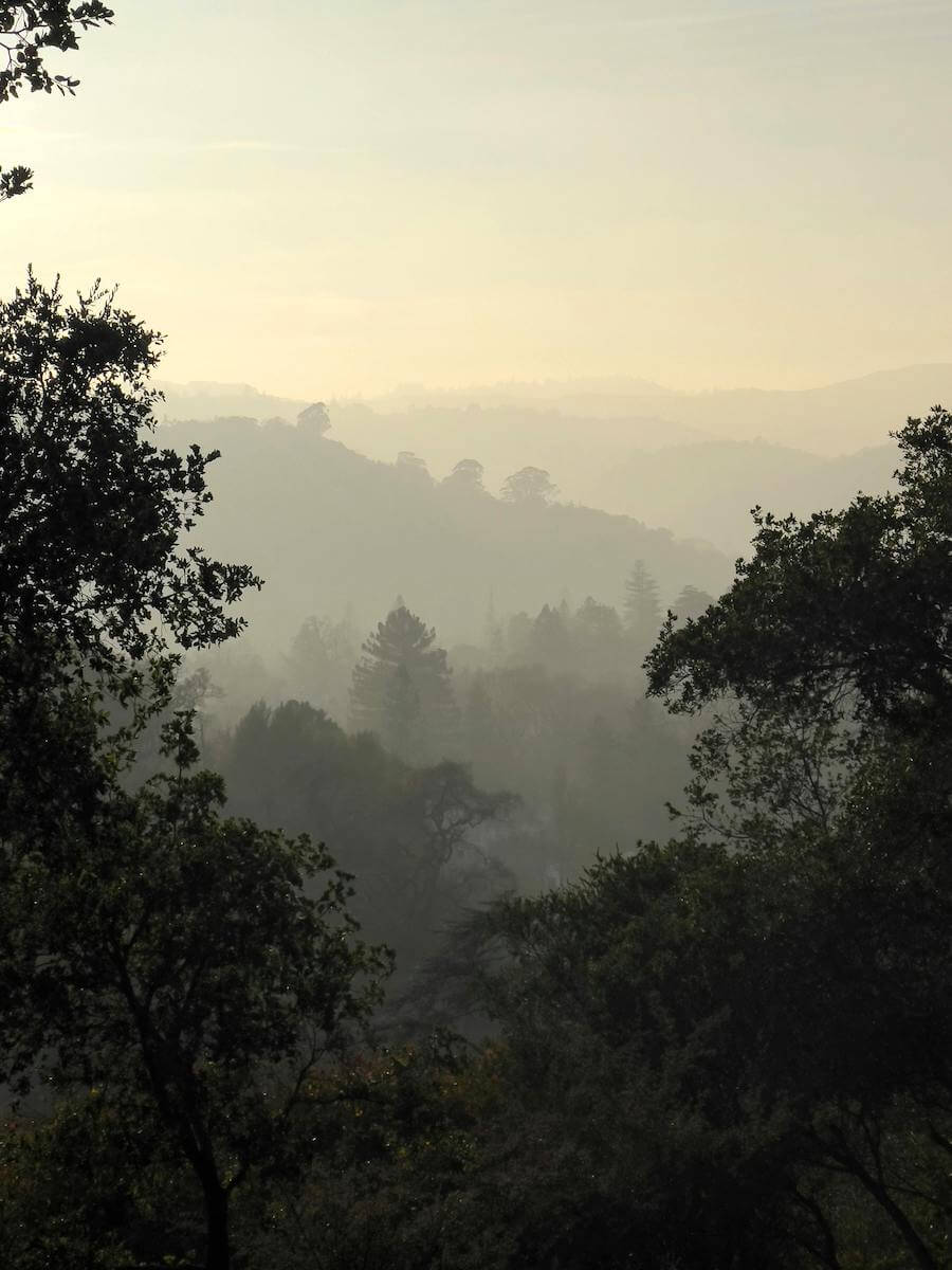 San Anselmo Fire Hydrant Services Hydrant Flow Co